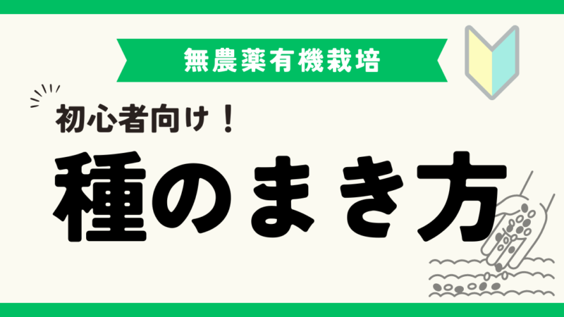 【初心者必見！】野菜の種のまき方と注意点について徹底解説！ 